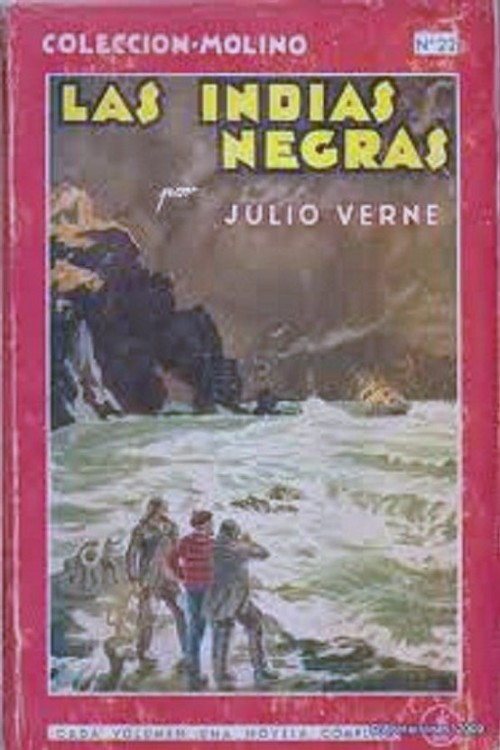 Portada del libro Las Indias Negras