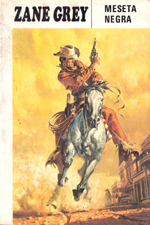 Portada del libro Meseta negra